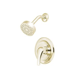 Brushed Nickel Shower with Lever Trim Kit