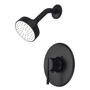 Matte Black Standard Shower Slim Handle