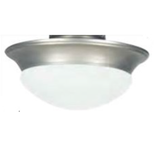 Brushed Nickel Light Kit with 2 LED Bulbs