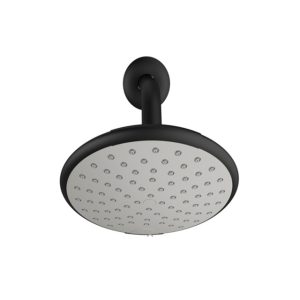Designer Shower Head