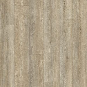 Forest Valley  | Truffle