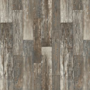 Wild Dove | American Heritage