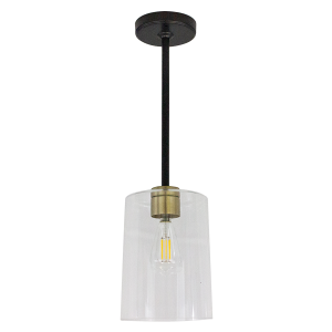 Satin Black and Champagne Gold Pendant with Edison Bulb
