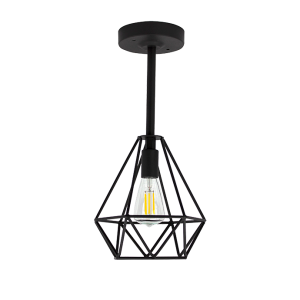 Textured Black Pendant with Wire Cage