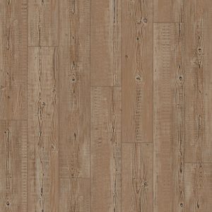 Modern Pine | Caramel Latte