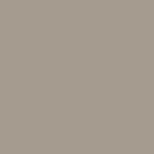Centurty Gray